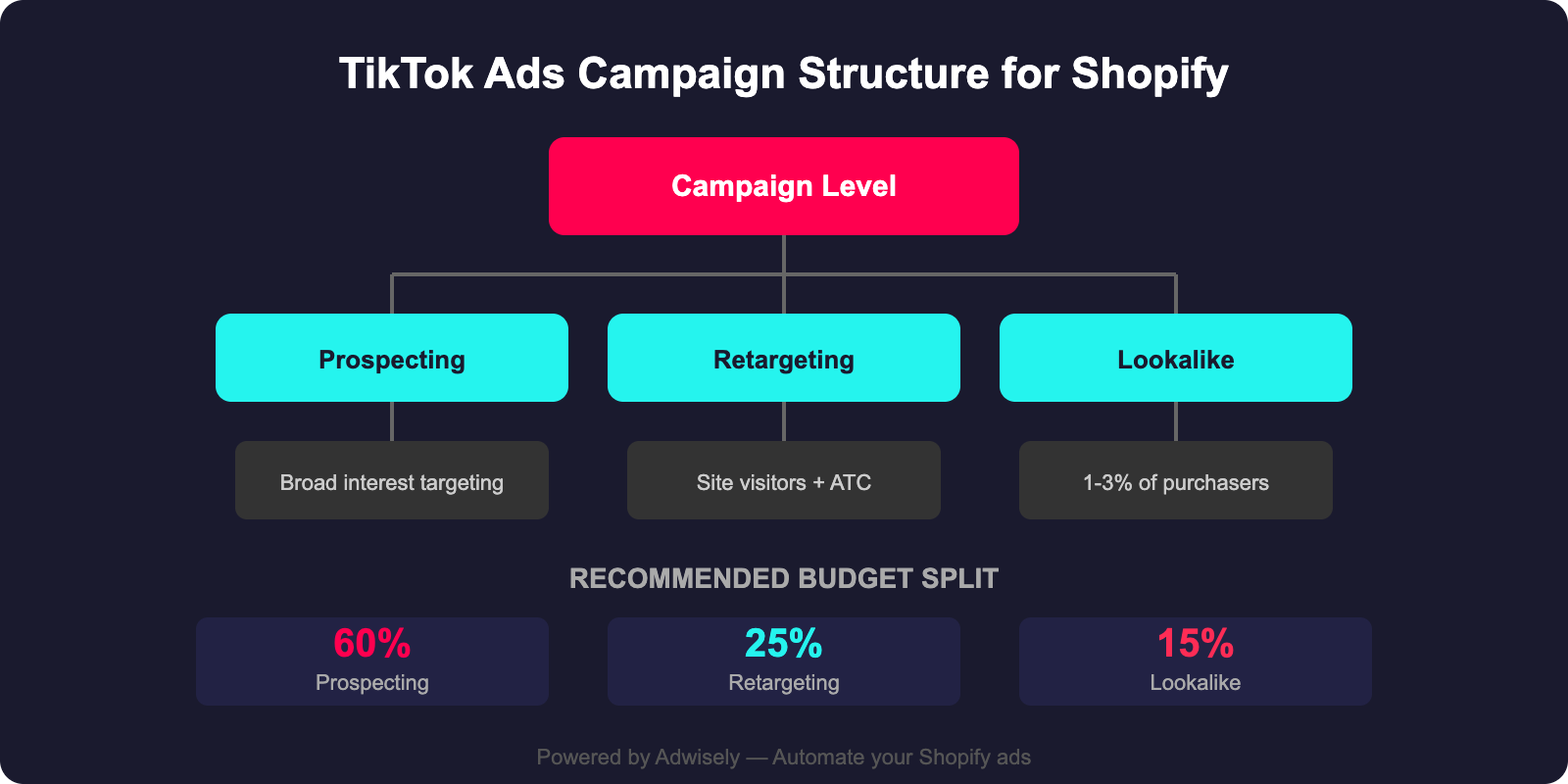 TikTok Ads campaign structure diagram showing prospecting retargeting and lookalike strategy
